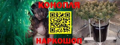 сатива Балаково