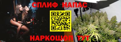 PSILOCYBIN Балашиха